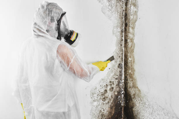 Best Forensic Mold Investigation  in Mission Hills, KS