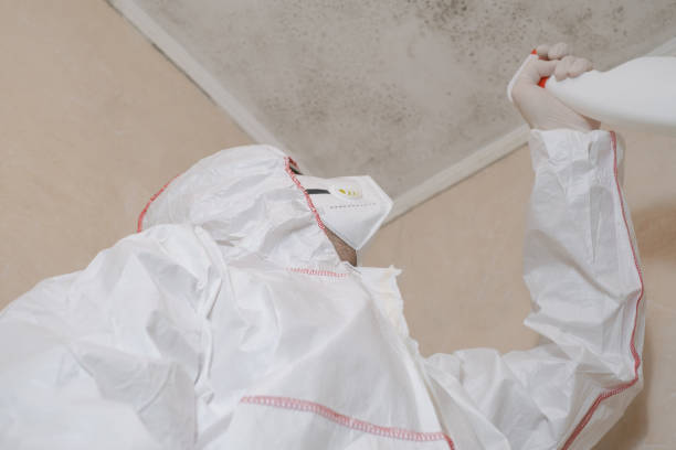 Best Mold Remediation for Healthcare Facilities  in Mission Hills, KS